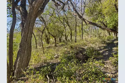 595 Dittlinger Street, New Braunfels, TX 78130 - Photo 6