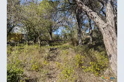 595 Dittlinger Street, New Braunfels, TX 78130 - Photo 10