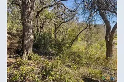 595 Dittlinger Street, New Braunfels, TX 78130 - Photo 2