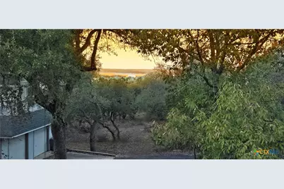 315 White Oak Drive, Canyon Lake, TX 78133 - Photo 4