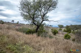 Lot 94 Hidden Cove, Kingsland, TX 78639 - Photo 18