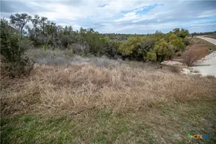 Lot 94 Hidden Cove, Kingsland, TX 78639 - Photo 20