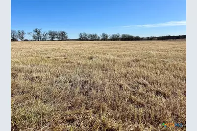 1 Bottoms East Road, Troy, TX 76579 - Photo 4