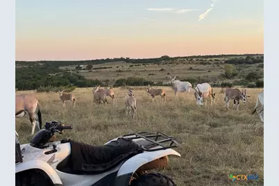 Tract 1 County Road 208, Lampasas, TX 76550 - Photo 8