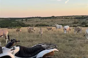 Tract 1 County Road 208, Lampasas, TX 76550 - Photo 8