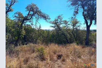 1178 Primrose Path, Canyon Lake, TX 78133 - Photo 28