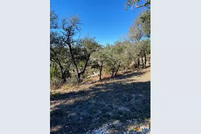 1178 Primrose Path, Canyon Lake, TX 78133 - Photo 1