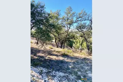 1178 Primrose Path, Canyon Lake, TX 78133 - Photo 2