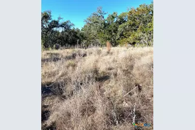 1178 Primrose Path, Canyon Lake, TX 78133 - Photo 10