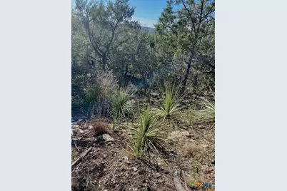 1178 Primrose Path, Canyon Lake, TX 78133 - Photo 4