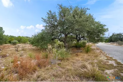137 Red Tail Cove, Spring Branch, TX 78070 - Photo 8