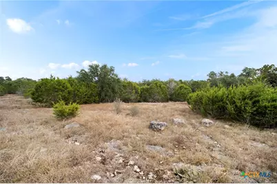 137 Red Tail Cove, Spring Branch, TX 78070 - Photo 6