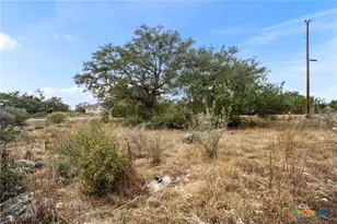 137 Red Tail Cove, Spring Branch, TX 78070 - Photo 1
