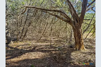 2095 Desiree Street, Canyon Lake, TX 78133 - Photo 10