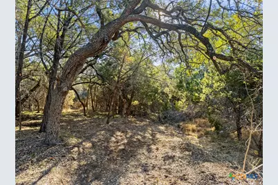 2095 Desiree Street, Canyon Lake, TX 78133 - Photo 1