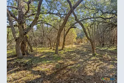 2095 Desiree Street, Canyon Lake, TX 78133 - Photo 2