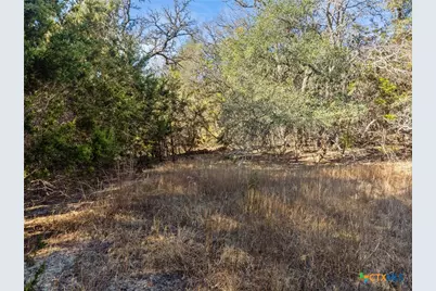 2095 Desiree Street, Canyon Lake, TX 78133 - Photo 16
