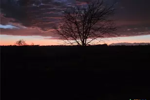 9684 FM437, Rogers, TX 76569 - Photo 44