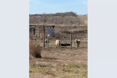 9684 Fm 437, Rogers, TX 76569 - Photo 10