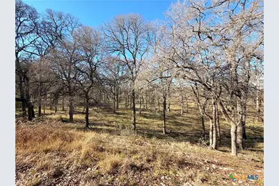 2162 Sierra Madre, Canyon Lake, TX 78133 - Photo 4