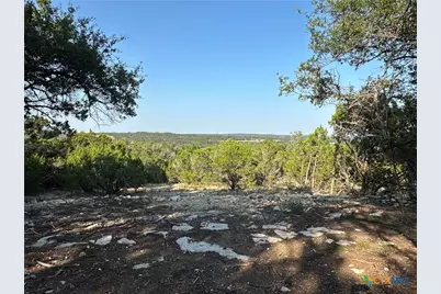 1229 Stallion Springs Drive, Fischer, TX 78623 - Photo 30