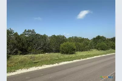 1231 Mystic Shores Boulevard, Spring Branch, TX 78070 - Photo 4