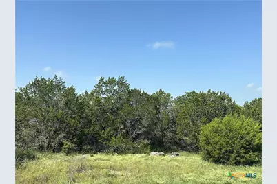 1231 Mystic Shores Boulevard, Spring Branch, TX 78070 - Photo 2