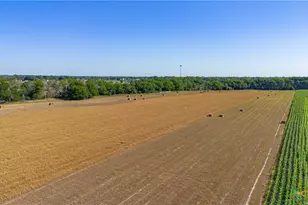 Tbd Fm-725, Mcqueeney, TX 78123 - Photo 28