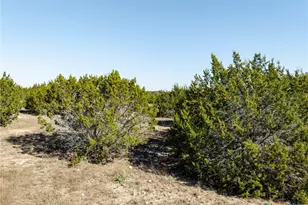 1141 Pitchfork Rnch Rd, Copperas Cove, TX 76522 - Photo 30