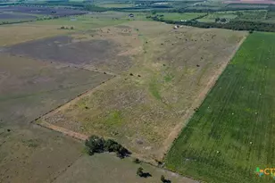 555 and 559 Bylerpool Rd, Kingsbury, TX 78638 - Photo 12