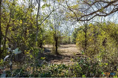 6635 S Highway 183, Lockhart, TX 78640 - Photo 16