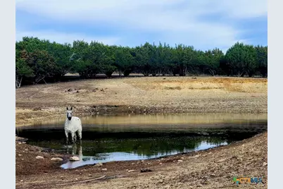 Tract 2 County Road 208, Lampasas, TX 76550 - Photo 4
