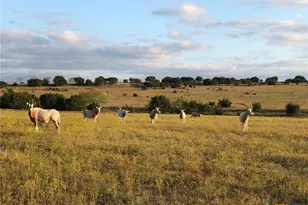 Tract 2 County Road 208, Lampasas, TX 76550 - Photo 8