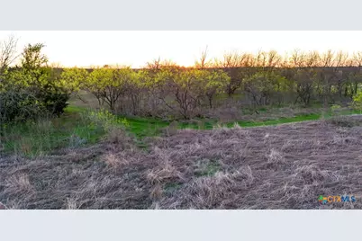 6831 Landfill Road, Belton, TX 76513 - Photo 18