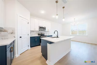 815 Liberty Park Drive, Belton, TX 76513 - Photo 4