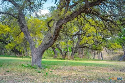 833 Bingham Lane, New Braunfels, TX 78132 - Photo 10