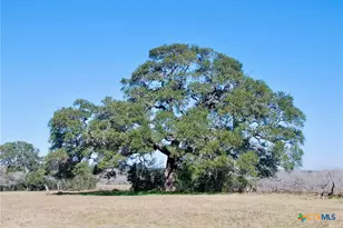 652 Co Rd 210, Hallettsville, TX 77964 - Photo 20