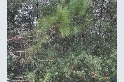 Tbd Pine Hill Loop, Bastrop, TX 78602 - Photo 2