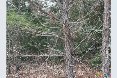 Tbd Pine Hill Loop, Bastrop, TX 78602 - Photo 4