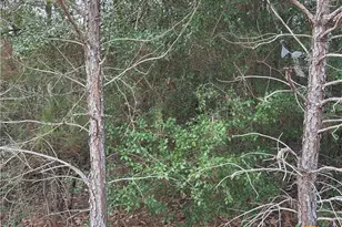 Tbd Pine Hill Loop, Bastrop, TX 78602 - Photo 1