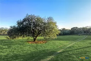 4861 State Hwy 119, Yorktown, TX 78164 - Photo 4