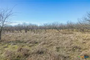 5225 FM2001, Buda, TX 78610 - Photo 42