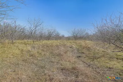 5225 Fm 2001, Buda, TX 78610 - Photo 38