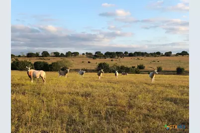 6101 County Road 208, Lampasas, TX 76550 - Photo 8