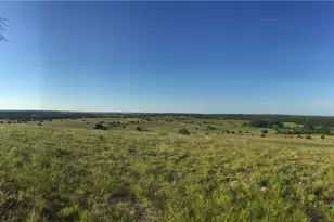 6101 Co Rd 208, Lampasas, TX 76550 - Photo 4