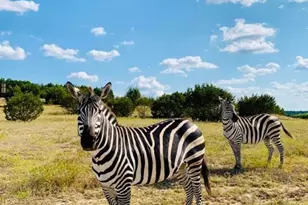 6101 Co Rd 208, Lampasas, TX 76550 - Photo 24