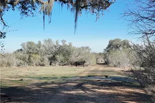 3382 E Fm 1961, Goliad, TX 77963 - Photo 12