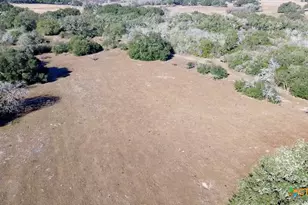 3382 E Fm 1961, Goliad, TX 77963 - Photo 2