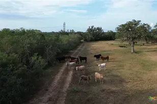 3382 E Fm 1961, Goliad, TX 77963 - Photo 24