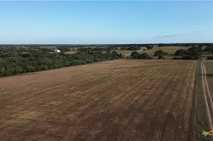 3382 E Fm 1961, Goliad, TX 77963 - Photo 22